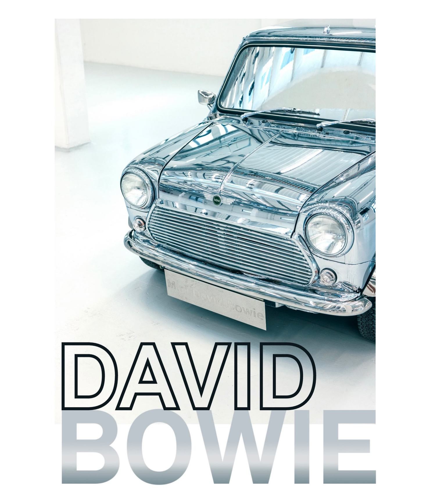 THE DESIGNER MINI DAVID BOWIE.